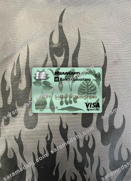 Ecuador Banco Bolivariano bank visa signature card photolook front